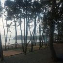 솔바다캠핑장 이미지