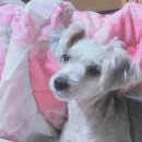 방현초등학교 이미지