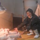 청정축산 이미지