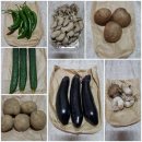 [NFUP] 논이랑 밭이랑 싱싱 야채 꾸러미 3차 후기