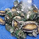 백아한방병원 이미지