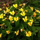 향기나라 화장품 이미지