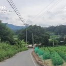 화 농장 이미지