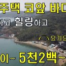 어촌주택 코앞 바다~낚시하고 힐링하고~이 집이 5200만원~싸다~건25평, 대지119평~[땅지통] 이미지