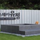 유정스테이