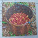 연수제일정형외과의원 이미지