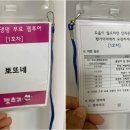대전펫츠 네이버블로그