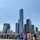 호주 워홀[D+326](2) 브리즈번 뚜벅이 여행/사우스뱅크 사인(Brisbane Sign)/브리즈번 관람차(The wheel...