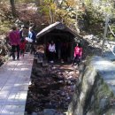 달둔소낭펜션 이미지