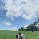 강아지와 산책 | 당진 합덕 카페 피어라 후기 / 청보리밭에서 강아지와 산책하기🌱