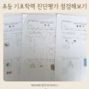 초등학력 | 초등 기초학력 진단평가 후기, 아이의 문제점이 보인다