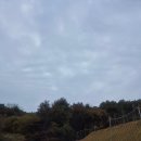 알토란사과체험마을 이미지