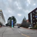 조선대학교 체육대학 이미지