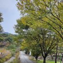 샘양지 마을 이미지