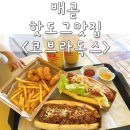 어반독스 | 시흥/배곧) 미국에서 먹는 듯한 느낌! 배곧 핫도그맛집 &lt;코브라독스 배곧신도시점&gt;