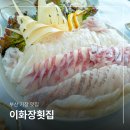집밥기장곰장어 | 부산 기장 횟집 미역국 맛집 추천 이화장횟집 부모님 대만족!