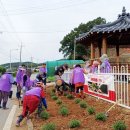 플랜츠
