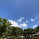 카페미르 이미지