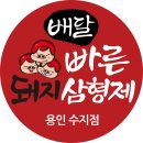 빠른돼지삼형제 네이버블로그