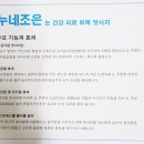 트레비엥 이미지
