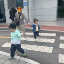 새싹교통어린이공원 이미지