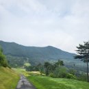 중원GC(대중제) | 충주 세일cc 라운딩 코스 및 그린 후기