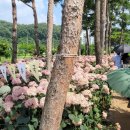 운암애견 이미지