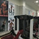 브이아이피요가필라테스