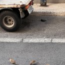 지안메디케어 | 10.31~11.6, 흐름 따라 적어 보는 나의 주간일기