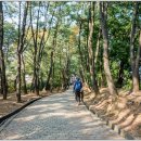 쌍충비각 이미지