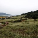 장흥정자마을회관 이미지