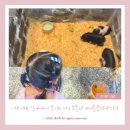 애니몰 | [아기랑 키즈카페 후기] 25개월 아기랑 애니몰클럽 수지점 다녀왔어요 🐰🦙