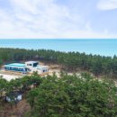 누볼라 풀빌라 이미지