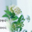 ★[LG토탈인테리어] 입니다.★-구경하는집(모델*1층*)급구 (월곡삼성/월계롯데/입주자동호회/샤시/철중문리폼 공동구매업체) 이미지