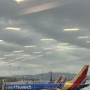 허니머슬짐 | LA 여행 1일차 1편] 프론티어 후기/베니스 캐널, 베니스 비치/ 머슬비치 / 솔트앤스트로우 / 프론티어 후기