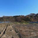 남한산성면-4 이미지