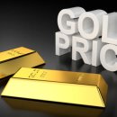 주식회사 비즈인사이트 이미지