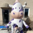 천해목장 이미지