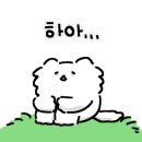 야노래연습장 이미지