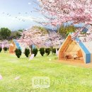 내일스테이 이미지