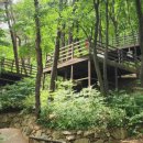 장척호수뷰 | 김해 "신어산 자연숲 캠핑장" 사이트 소개, 예약 방법