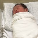 분당-208 | [출산ep#01]분당제일여성병원 출산입원후기(유도분만 시도 후 제왕엔딩🥲)