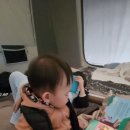 진도 카멜리아 힐즈 오토캠핑장 이미지