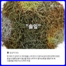 화산영농조합 이미지