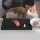 스시와 이미지