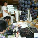 김재훈농장 이미지