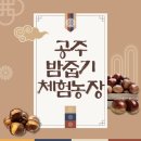 꽃내미풀꽃이랑마을 | 공주 밤줍기 체험농장, 공주 알밤체험, 알밤줍기, 공주알밤한우 가을잔치 행사