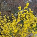 성산마을회관 이미지