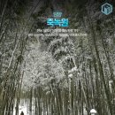 스팟 이미지