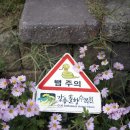 솔향반점